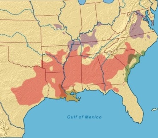 Laura Eastman Backstory