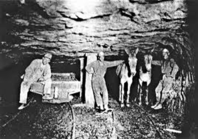 First Coal mine
