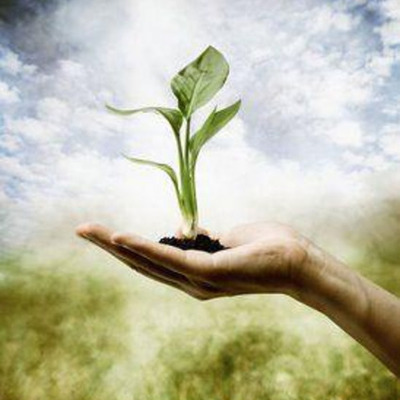 Timeline: Ecofeminist Utopian Science Fiction