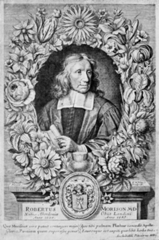 Robert Morison born