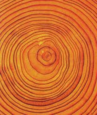 Tree-Ring accuracy testing