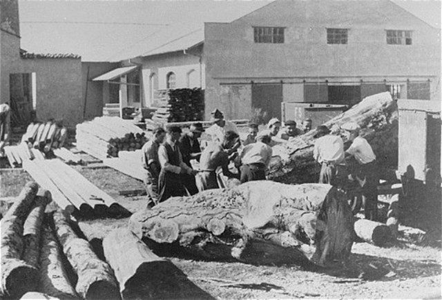 Romania passes law condemning adult Jews to forced labor.