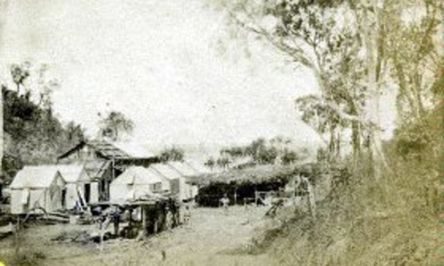 People first settled in Palmerston (Now Darwin)