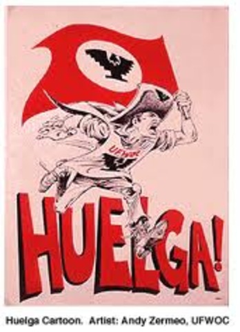 United Farm Workers Organizing Committee (UFWOC)