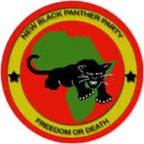 Black Panthers