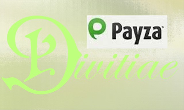 Payza Business Account