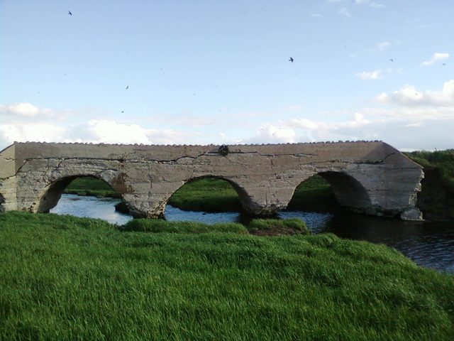 Pescè desde el puente