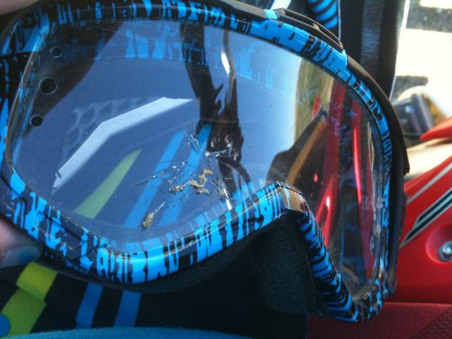 Pegè un insecto en mi motocicleta