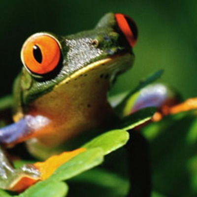 Timeline: Environmental Science