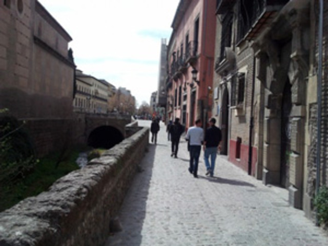 Los ecologistas aprueban la peatonalización