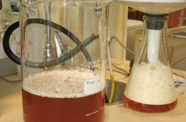 Fermentación alcohólica