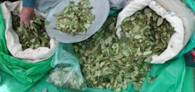 os carteles de la droga.