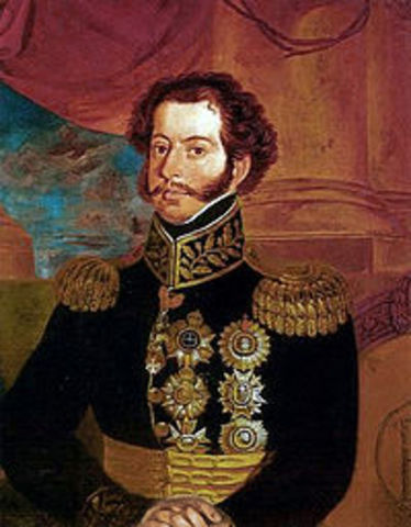 Prince Pedro of Portugal Appointed Leader of Brazil