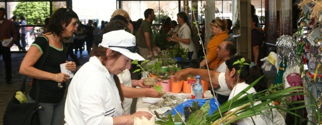 La economía social, una década después