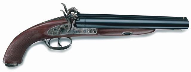 gun laws ban negros to own fire arms:diminishing