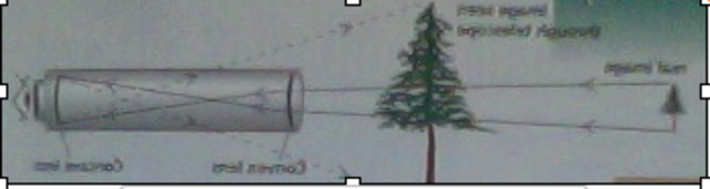 Galileo's Prize Discovery