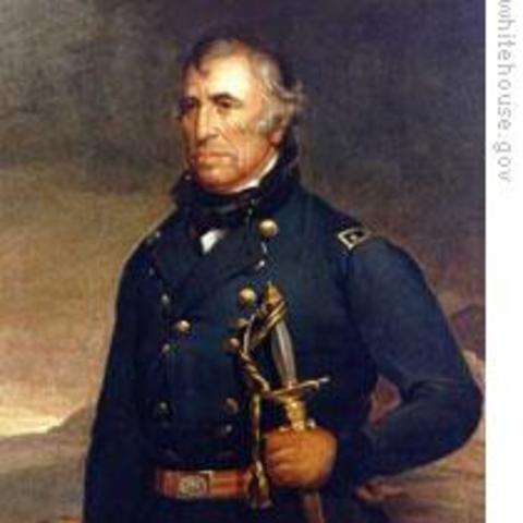 Zachary Taylor