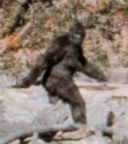 Patterson Gimlin Film