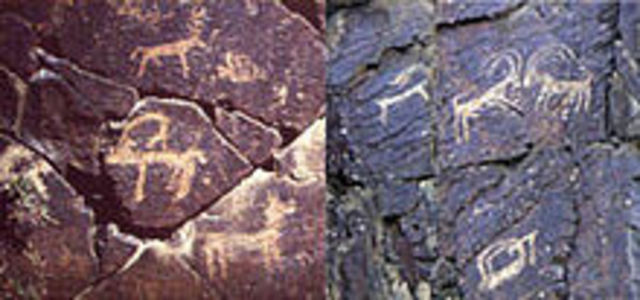 Cultural renaissance