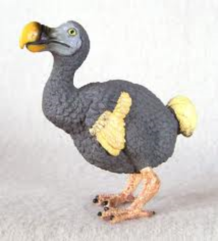last dodo bird seen on mauritius