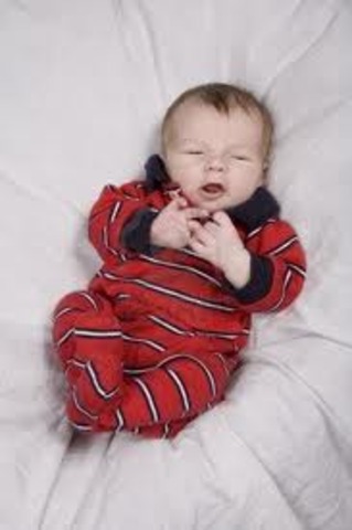 Chris Lindemenn was born