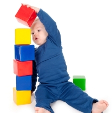 Infancy- Bayley Scales of Infant Development