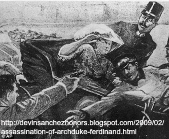 Assassination of the Archduke