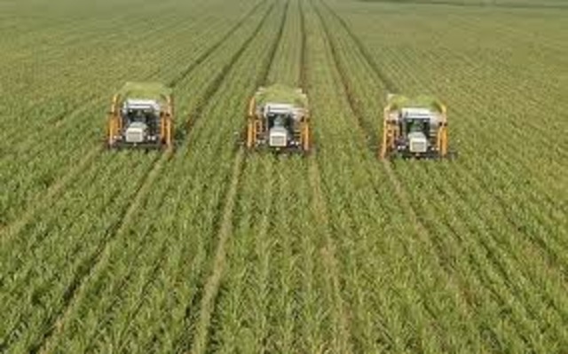 Robots Start Huge Garden(400 acres)