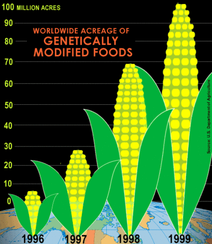 Genetically Modified Plants