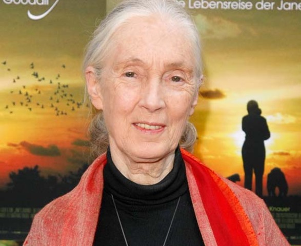Jane Goodall