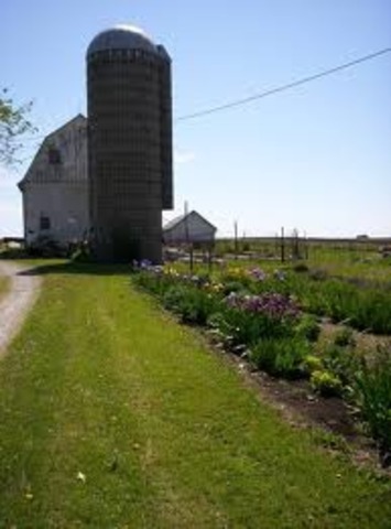 Farm