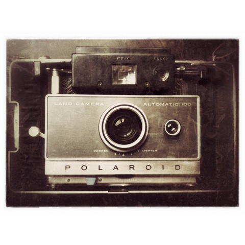 The first Polaroid camera was invented.