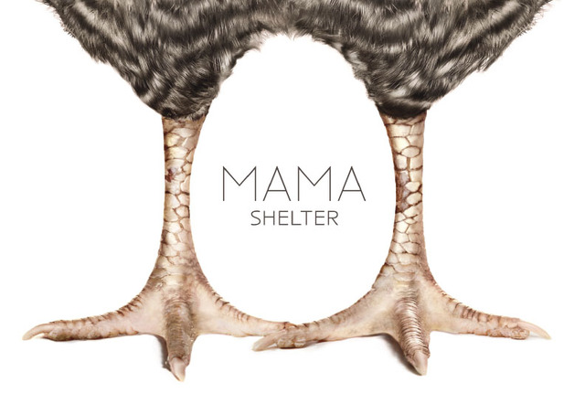 Claim: Infringment of the trademark MAMA / MAMA SHELTER