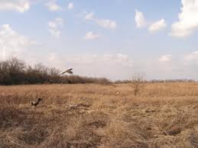 My First Time Hunting