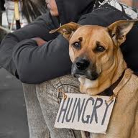 Again, famine struck Ireland