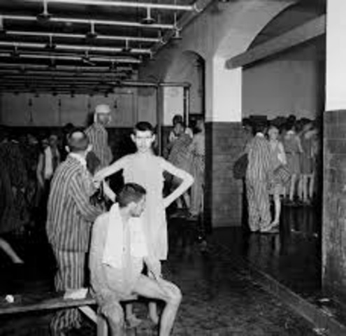 Nazi "extermination" camps located in occupied Poland at Auschwitz, Birkenau, Treblinka, Sobibor, Belzec, and Majdanek-Lublin begins mass murder of Jews in gas chambers.