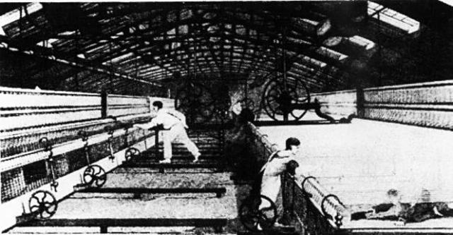 Cartwright sets up a Factory