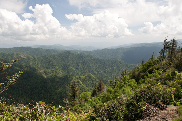 Primero Viaje a Smoky Mountains