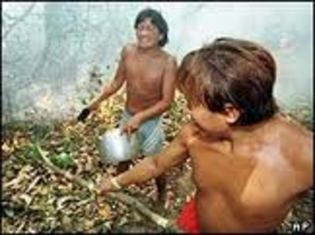 Slaves freed in Brazil