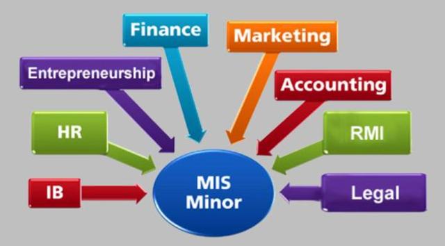 Management Information System