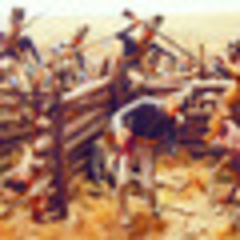 Battle of Horseshoe Bend