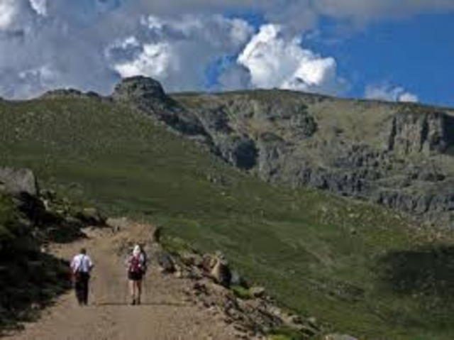 Theresa gets sick again