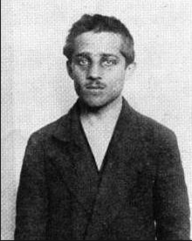 Gavrilo Princip Arrested