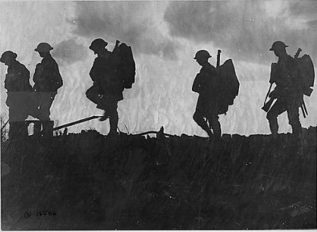 Austria-Hungary declares war on Serbia