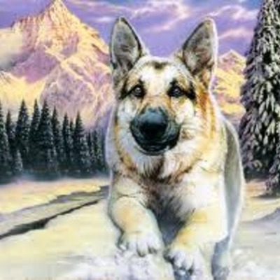 Timeline: Call of the Wild