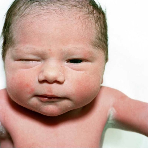 Nacimiento de  Charles Darwin