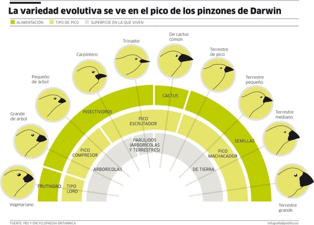 Desarrolla la Teoría de la evolución