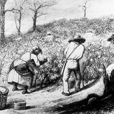 Timeline: Diminishing Progress in Colonial VA and Life of Anthony Johnson