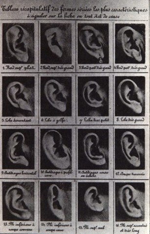 the criminal identification