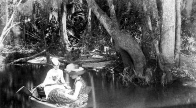 Dry Plate Negatives & Hand-held Cameras